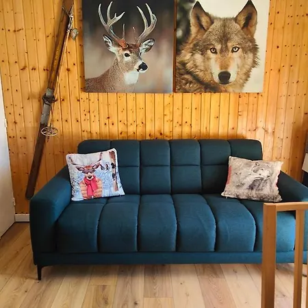 Avec Jardin Et Garage *