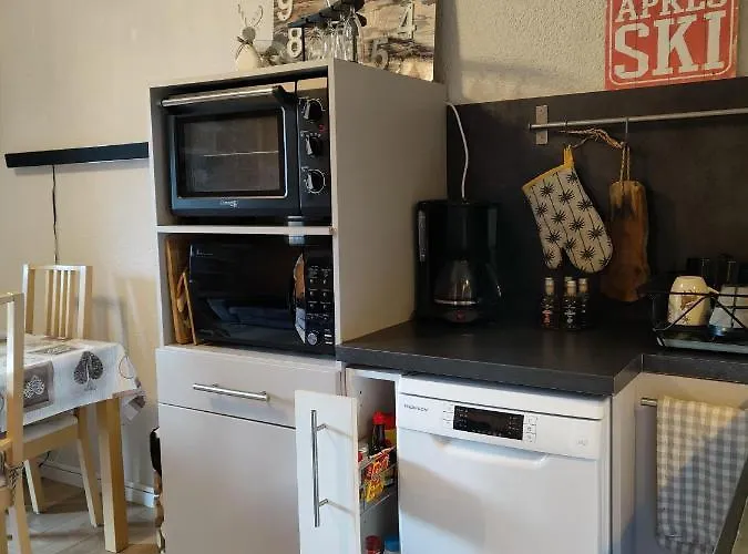 Avec Jardin Et Garage * Les Deux Alpes