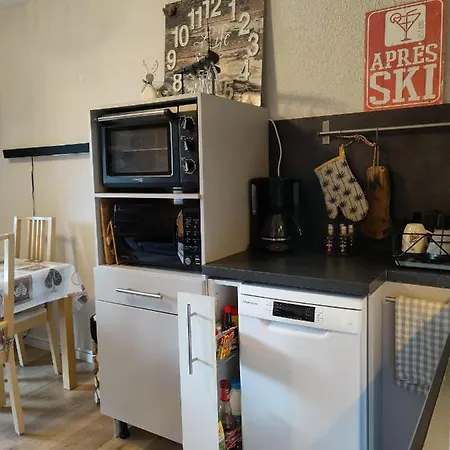 Avec Jardin Et Garage * Les Deux Alpes